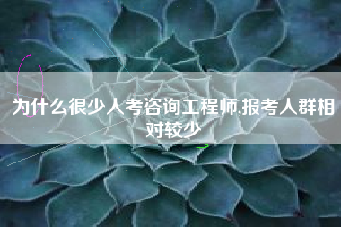 为什么很少人考咨询工程师,报考人群相对较少