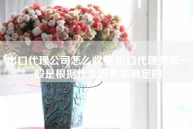 出口代理公司怎么收费,出口代理费率一般是根据什么因素来确定的