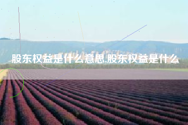 股东权益是什么意思,股东权益是什么