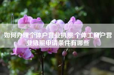 如何办理个体户营业执照,个体工商户营业执照申请条件有哪些