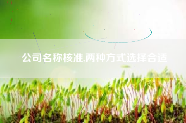 公司名称核准,两种方式选择合适