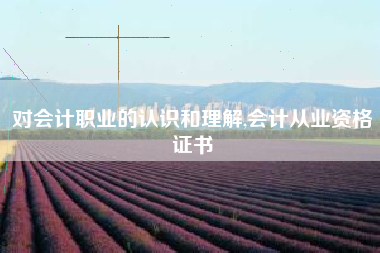对会计职业的认识和理解,会计从业资格证书
