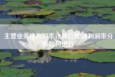 主营业务净利润率计算公式,净利润率分析如何进行