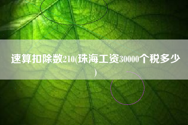 速算扣除数210(珠海工资30000个税多少
)
