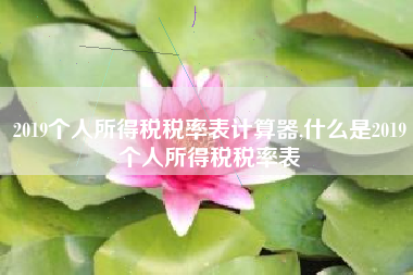 2019个人所得税税率表计算器,什么是2019个人所得税税率表