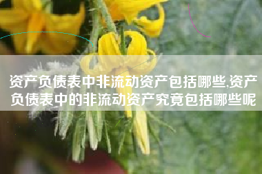 资产负债表中非流动资产包括哪些,资产负债表中的非流动资产究竟包括哪些呢