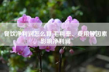 餐饮净利润怎么算,毛利率、费用等因素影响净利润