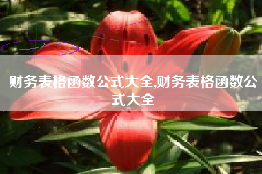 财务表格函数公式大全,财务表格函数公式大全