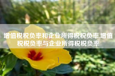 增值税税负率和企业所得税税负率,增值税税负率与企业所得税税负率