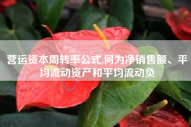 营运资本周转率公式,何为净销售额、平均流动资产和平均流动负