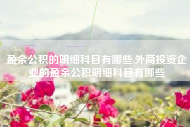 盈余公积的明细科目有哪些,外商投资企业的盈余公积明细科目有哪些