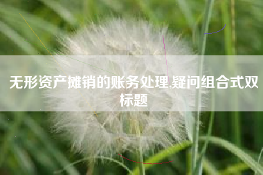 无形资产摊销的账务处理,疑问组合式双标题