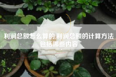 利润总额怎么算的,利润总额的计算方法包括哪些内容