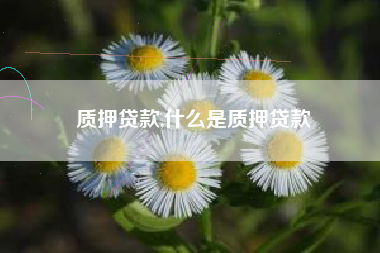 质押贷款,什么是质押贷款