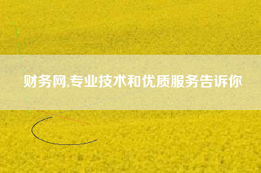 财务网,专业技术和优质服务告诉你