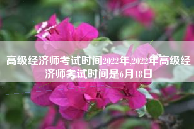 高级经济师考试时间2022年,2022年高级经济师考试时间是6月18日