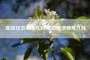 高级经济师考几科,高级经济师考几科