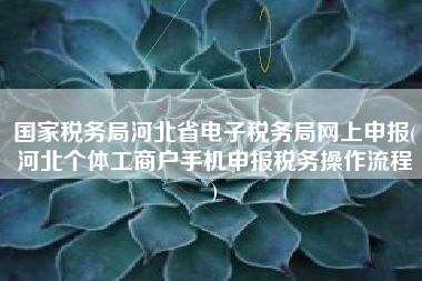 国家税务局河北省电子税务局网上申报(河北个体工商户手机申报税务操作流程
)