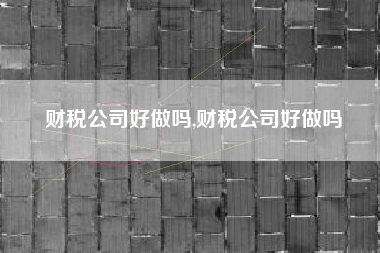 财税公司好做吗,财税公司好做吗