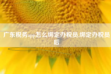 广东税务app怎么绑定办税员,绑定办税员后