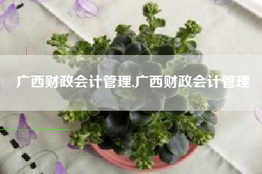 广西财政会计管理,广西财政会计管理