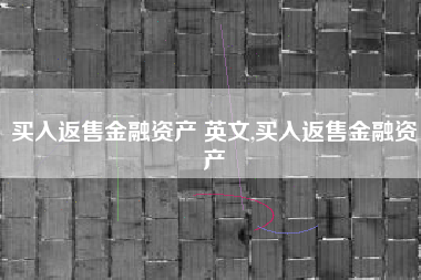 买入返售金融资产 英文,买入返售金融资产