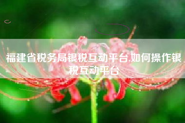 福建省税务局银税互动平台,如何操作银税互动平台