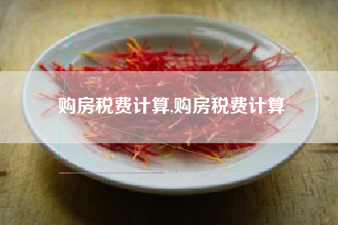 购房税费计算,购房税费计算
