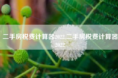 二手房税费计算器2022,二手房税费计算器2022