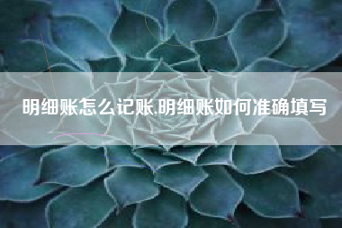 明细账怎么记账,明细账如何准确填写
