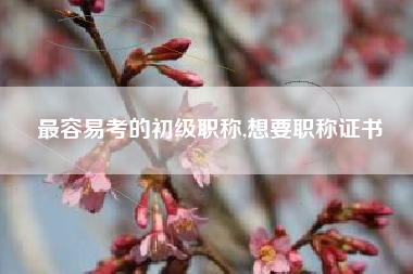 最容易考的初级职称,想要职称证书