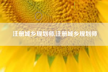 注册城乡规划师,注册城乡规划师