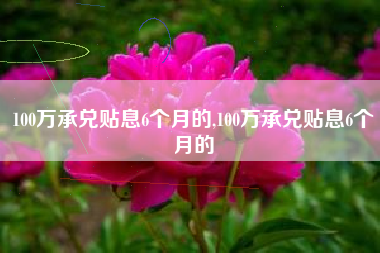 100万承兑贴息6个月的,100万承兑贴息6个月的