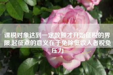 课税对象达到一定数额才开始征税的界限,起征点的意义在于免除低收入者税负压力