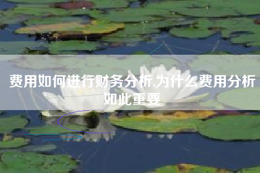 费用如何进行财务分析,为什么费用分析如此重要