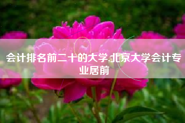 会计排名前二十的大学,北京大学会计专业居前