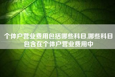 个体户营业费用包括哪些科目,哪些科目包含在个体户营业费用中
