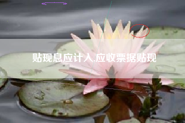 贴现息应计入,应收票据贴现