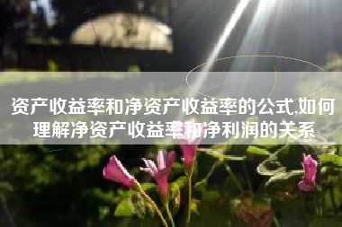资产收益率和净资产收益率的公式,如何理解净资产收益率和净利润的关系