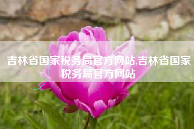 吉林省国家税务局官方网站,吉林省国家税务局官方网站