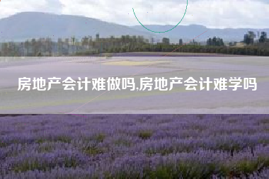 房地产会计难做吗,房地产会计难学吗