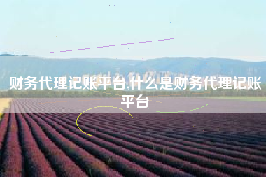 财务代理记账平台,什么是财务代理记账平台