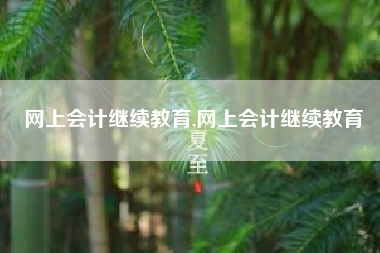 网上会计继续教育,网上会计继续教育