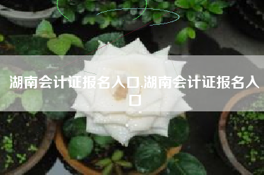 湖南会计证报名入口,湖南会计证报名入口