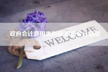 政府会计费用类科目,政府会计制度