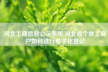 河北工商信息公示系统,河北省个体工商户如何进行电子化登记