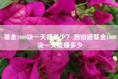 基金1000块一天赚多少？,想知道基金1000块一天能赚多少