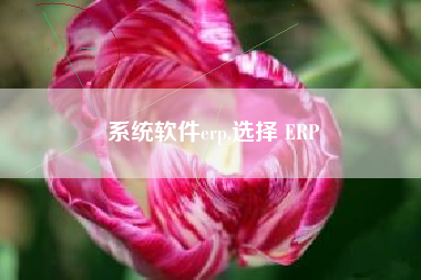 系统软件erp,选择 ERP