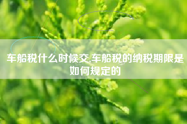 车船税什么时候交,车船税的纳税期限是如何规定的