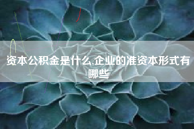 资本公积金是什么,企业的准资本形式有哪些